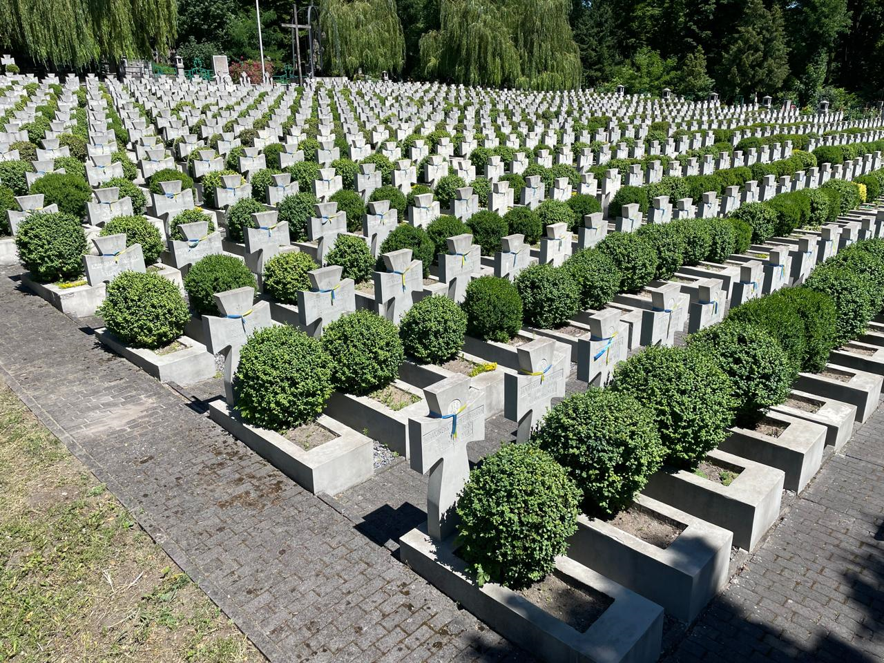 2222222222222222 11111